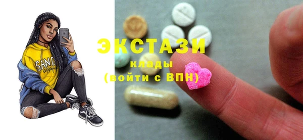 крисы Бородино